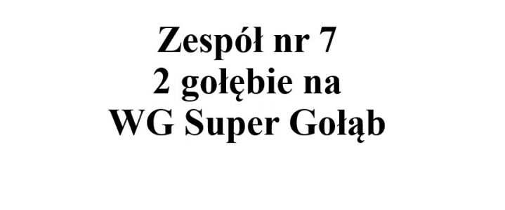 Zespół nr 7 - 2 gołębie na WG Super Gołąb