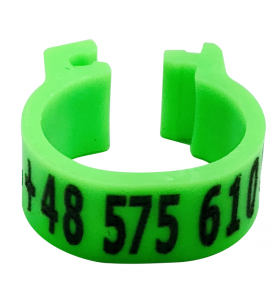 Znaczniki z numerem telefonu wypalane laserowo dla gołębi 8x5mm 125szt